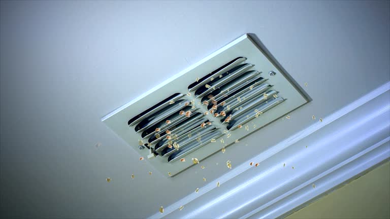 Best Home Air Vent Cleaning  in Esperance, WA